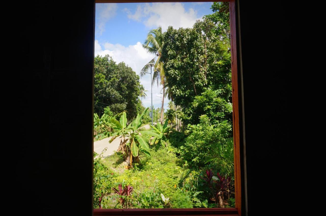 Peaceland Hostel بنغلاو المظهر الخارجي الصورة