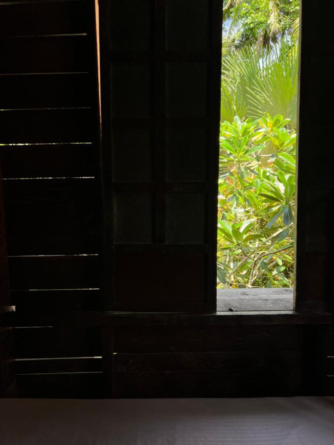 Peaceland Hostel بنغلاو المظهر الخارجي الصورة